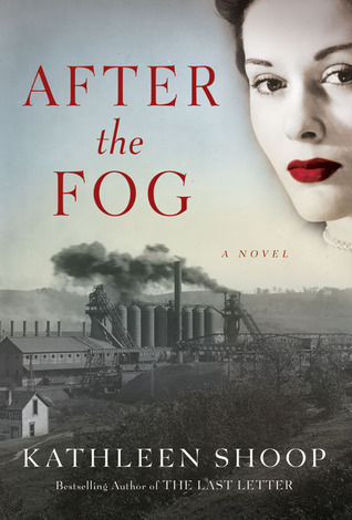 Donora Story Collection book cover 1