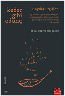Keder Gibi Ödünç book cover