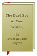 The Dead Boy At Your Window book cover