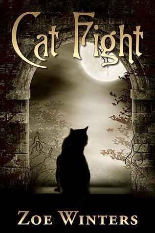 Cat Fight book cover