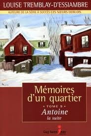 Antoine, la suite book cover