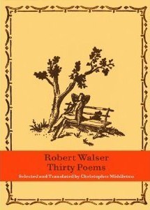 Thirty Poems book cover