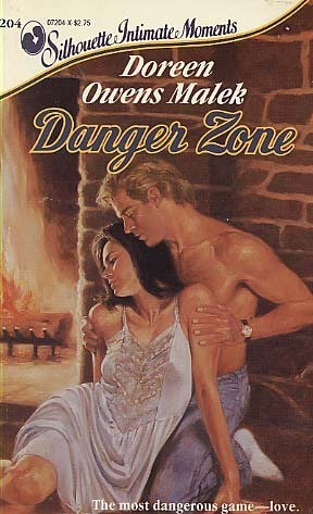 Danger Zone book cover