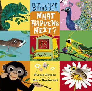 What Happens Next? book cover