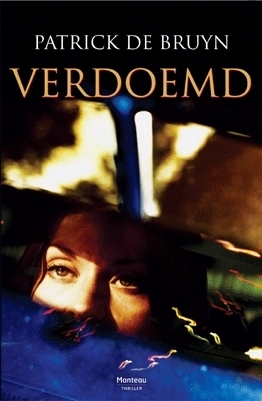Verdoemd book cover