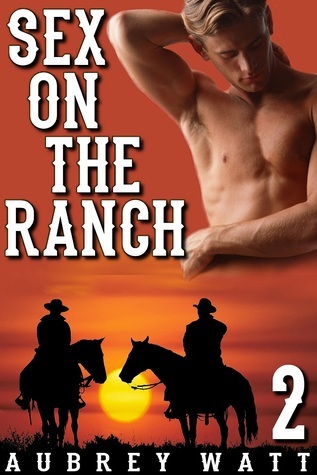 Gay Cowboys book cover 2