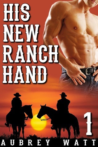 Gay Cowboys book cover 1