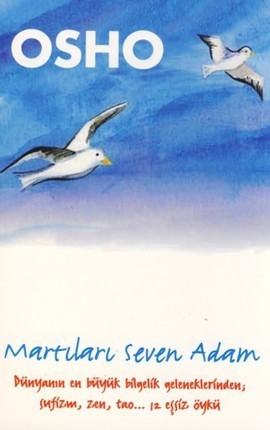 Martıları Seven Adam book cover