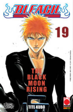 Bleach, Vol. 19: The Black Moon Rising