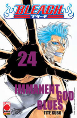 Bleach, Vol. 24: Immanent God Blues