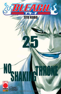 Bleach, Vol. 25: No Shaking Throne