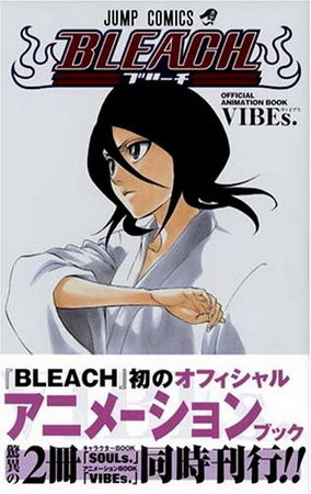 Bleach book cover