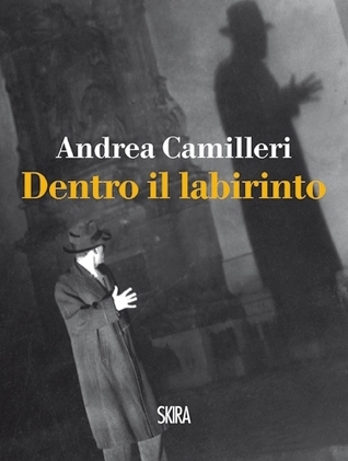Dentro il labirinto book cover