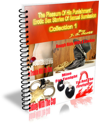 The Pleasure of His Punishment book cover