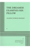 the dreamer examines his pillow