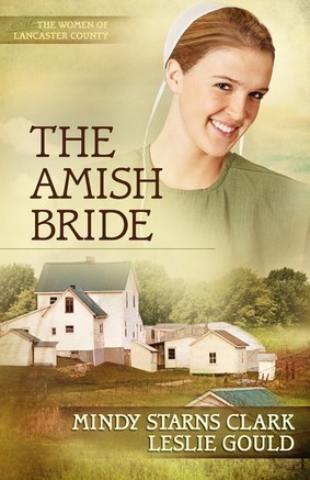 The Amish Bride book cover