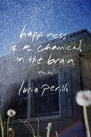 Happiness Is a Chemical in the Brain book cover