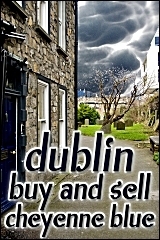 Dublin Buy and Sell book cover
