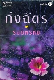 สืบซ่อนรัก book cover 1