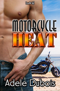 Motorcycle Heat book cover
