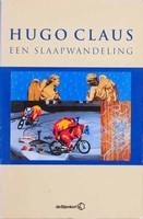 Een slaapwandeling