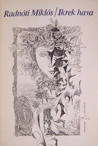 Ikrek hava book cover
