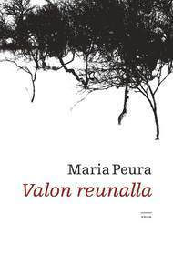 At the Edge of Light book cover