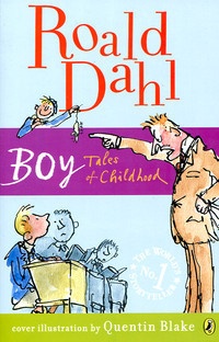Boy: Tales of Childhood