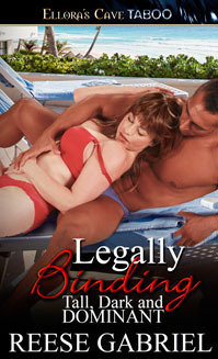 Legally Binding book cover