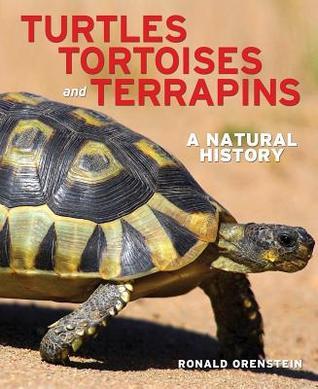 Turtles, Tortoises and Terrapins book cover