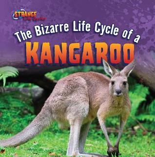 こちらはKangarooページです。 3,900+ Kangaroo Sign Stock Illustrations, Royalty-Free