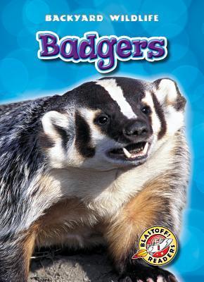 Badgers book cover