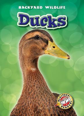 Ducks book cover