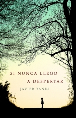 Si nunca llego a despertar book cover