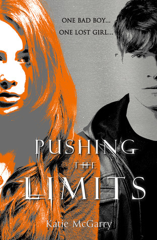 Pushing the Limits (Pushing the Limits, #1)