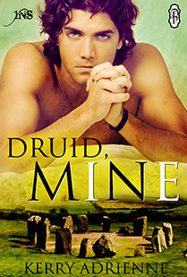 Druid, Mine book cover