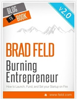 Burning Entrepreneur book cover
