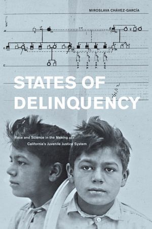 States of Delinquency book cover