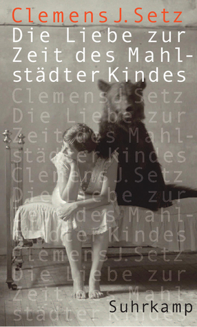 Die Liebe zur Zeit des Mahlstädter Kindes book cover