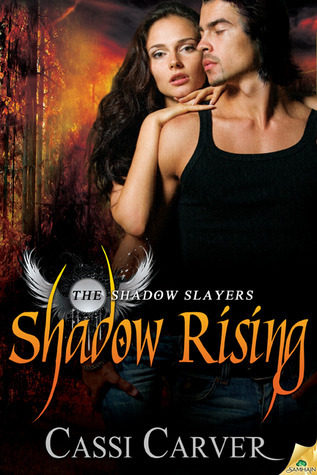 The Shadow Slayers book cover 2