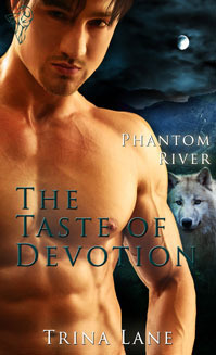 The Taste of Devotion book cover