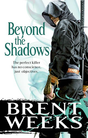 Beyond the Shadows (Night Angel, #3)