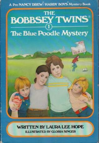 Bobbsey Twins book cover 1