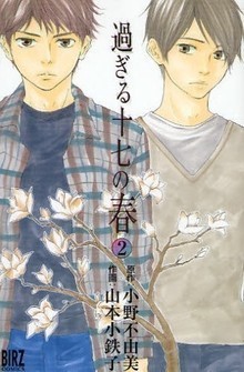 過ぎる十七の春 book cover 2