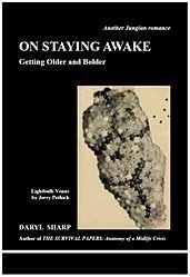 On Staying Awake book cover