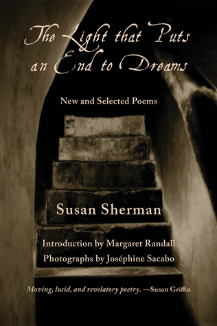 The Light That Puts an End to Dreams book cover