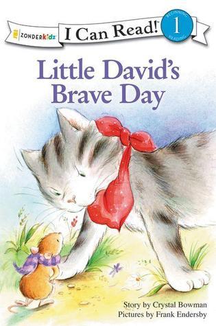 Little David's Brave Day book cover