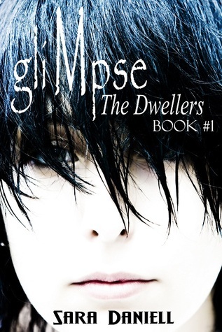 The Dwellers book cover 1