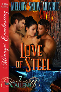Love of Steel book cover