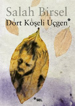 Dört Köşeli Üçgen book cover